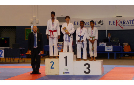 Coupe du Petit Samouraï 2016