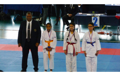 Championnat départemental 93 - Combats