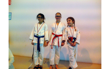 Coupes départementales honneur kata et combats 2016-2017