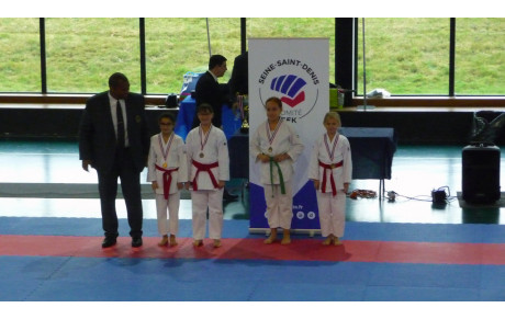 Open 93 kata Poussins et Coupe Honneur 93 Kata